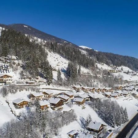 Schoeneben Edelhirsch * Wald im Pinzgau