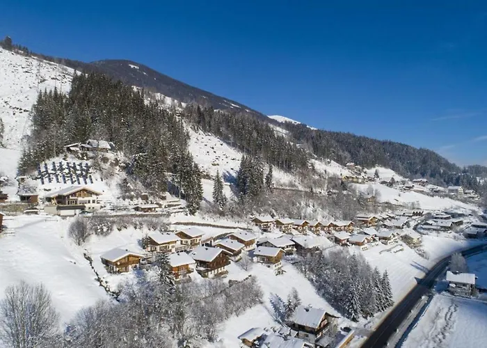 Schoeneben Edelhirsch * Wald im Pinzgau